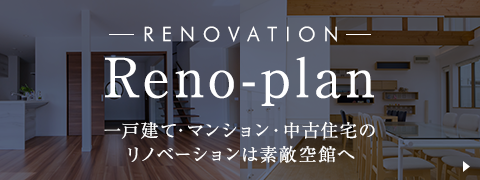 Reno-plan